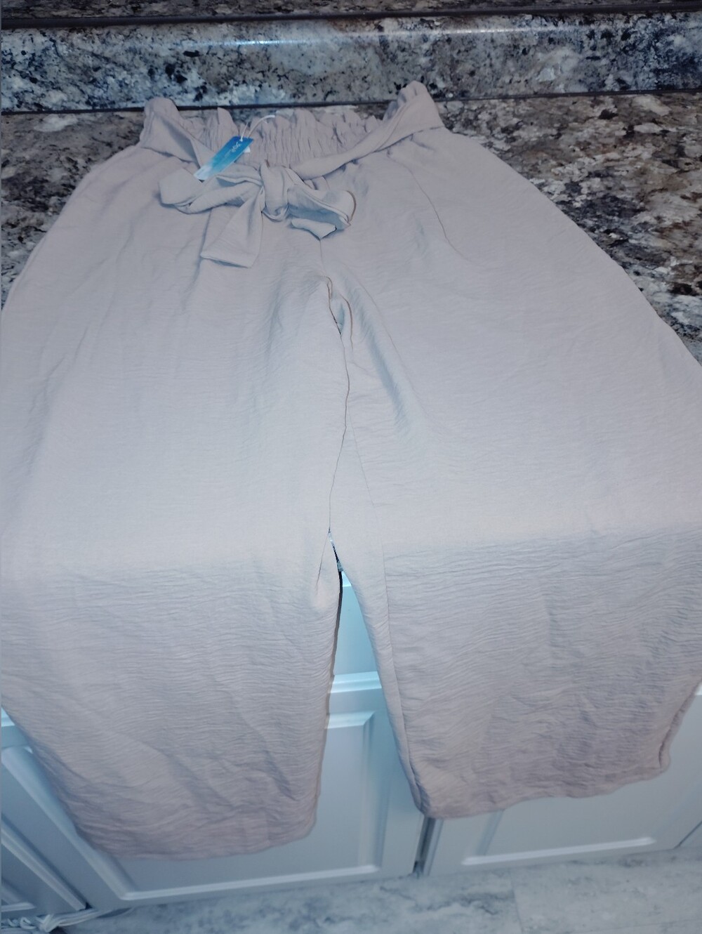 Nwt Small High-Rise Wide-Leg Paperbag Pants in Light Taupe Baggy - Picture 3 of 6